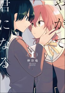 yagakimi1